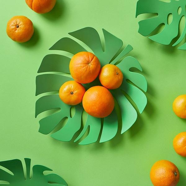 Balvi Frutero Monstera verde-27624 Grandes ahorros
