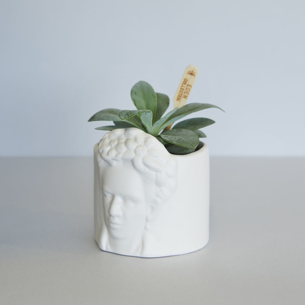 Balvi Mini maceta Frida blanco-27505 Venta caliente