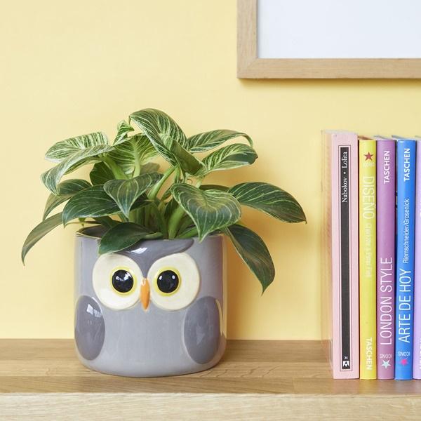 Balvi Maceta Owl gris-27678 En oferta