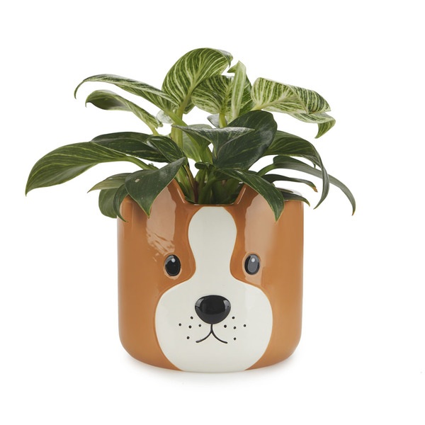 Balvi Maceta Woof marrón-27679