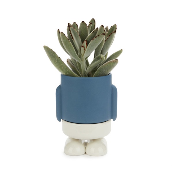 Balvi Mini maceta Mr.Standy azul-27834