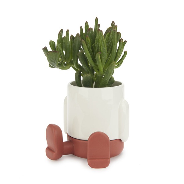 Balvi Mini maceta Mr.Sitty rojo-27835