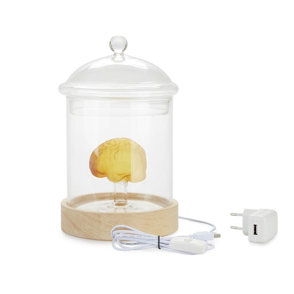 Balvi Lámpara de mesa Brain vidrio-27338 Tienda