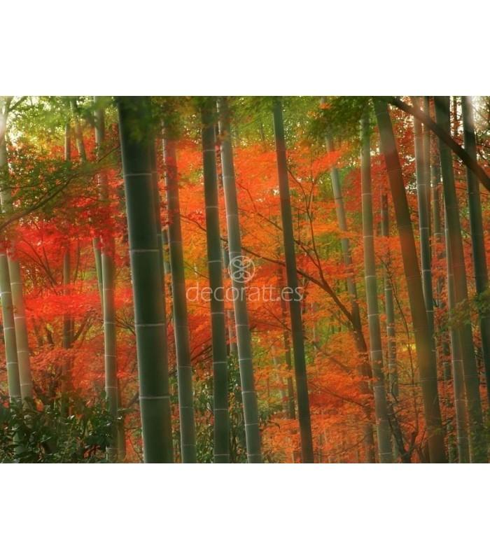 Decoratt Bamboo Forest Arashiyama Park Kyoto Japan