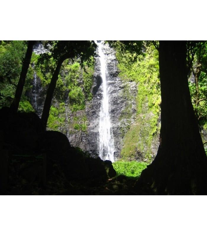 Decoratt Cascada Vaimahuta Tahiti Outlet online