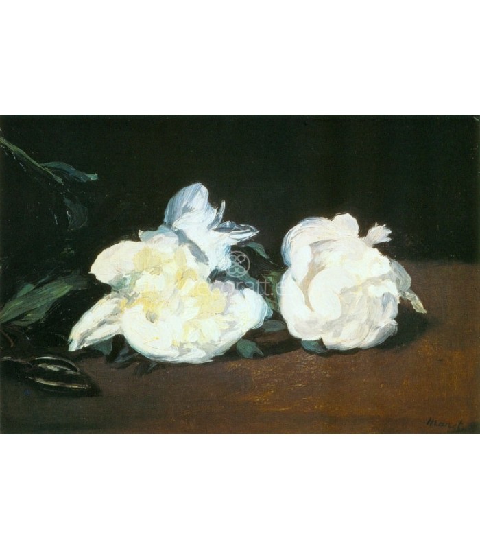 Decoratt Rama con ponias blancas
