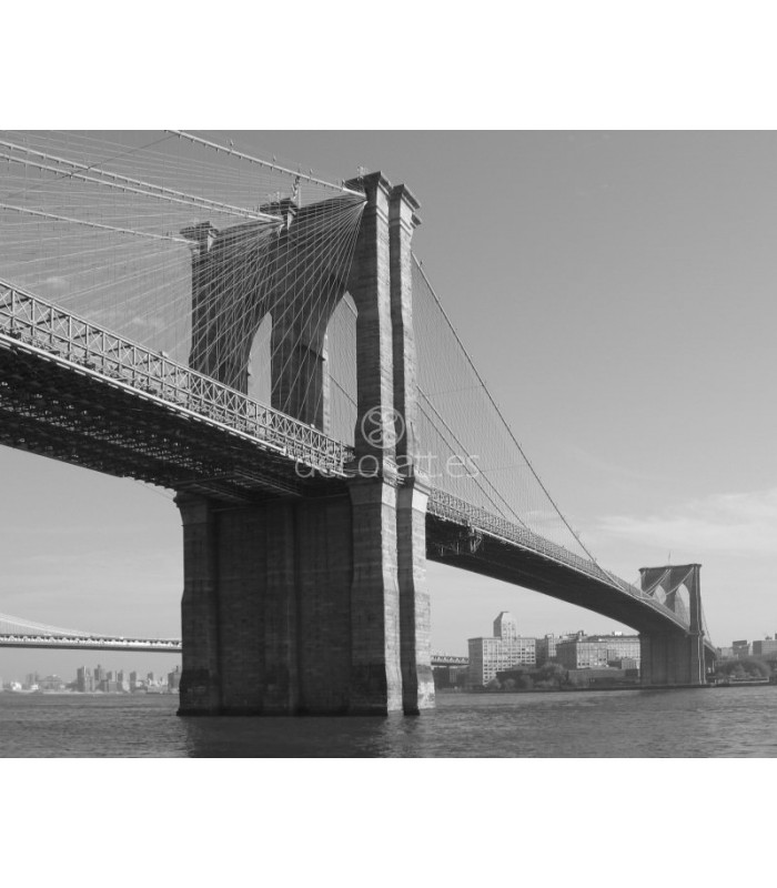 Decoratt Puente visto desde Manhattan