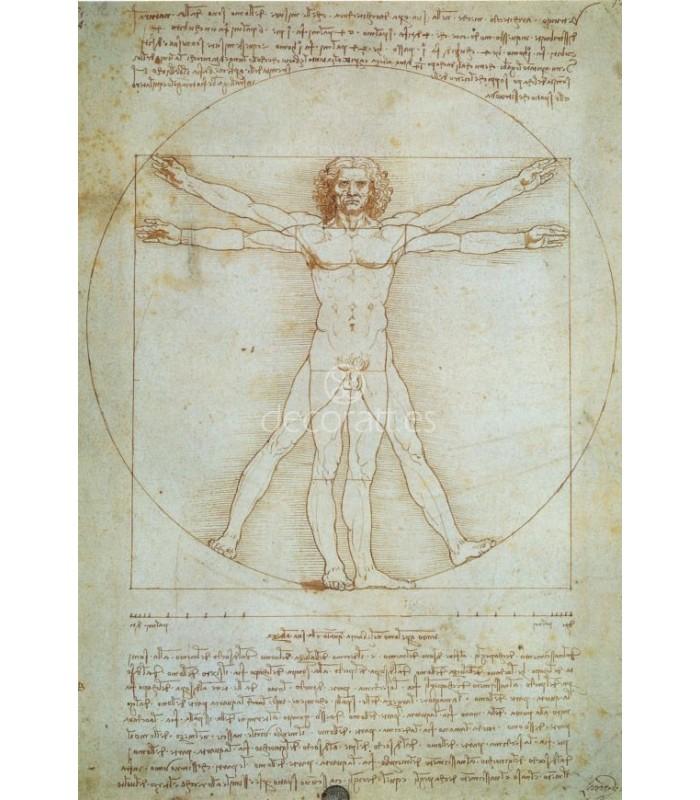 Decoratt Dibujo de Proporciones. 1490