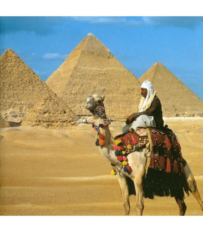 Decoratt Pirámides de Gizeh Egipto Últimos 2 días