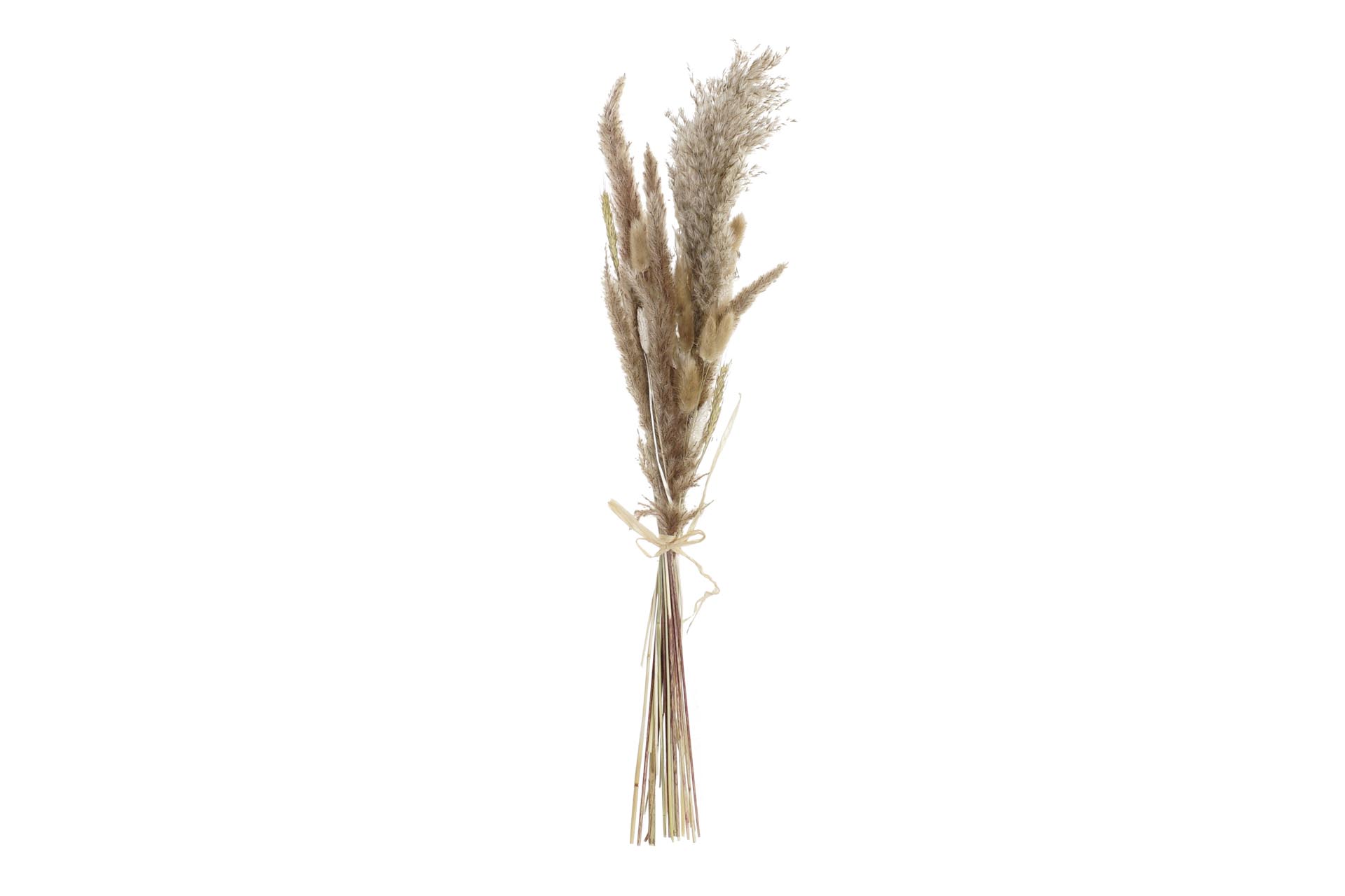 Dekodonia Pack de 2 ramos flor seca 12x3x53 marron