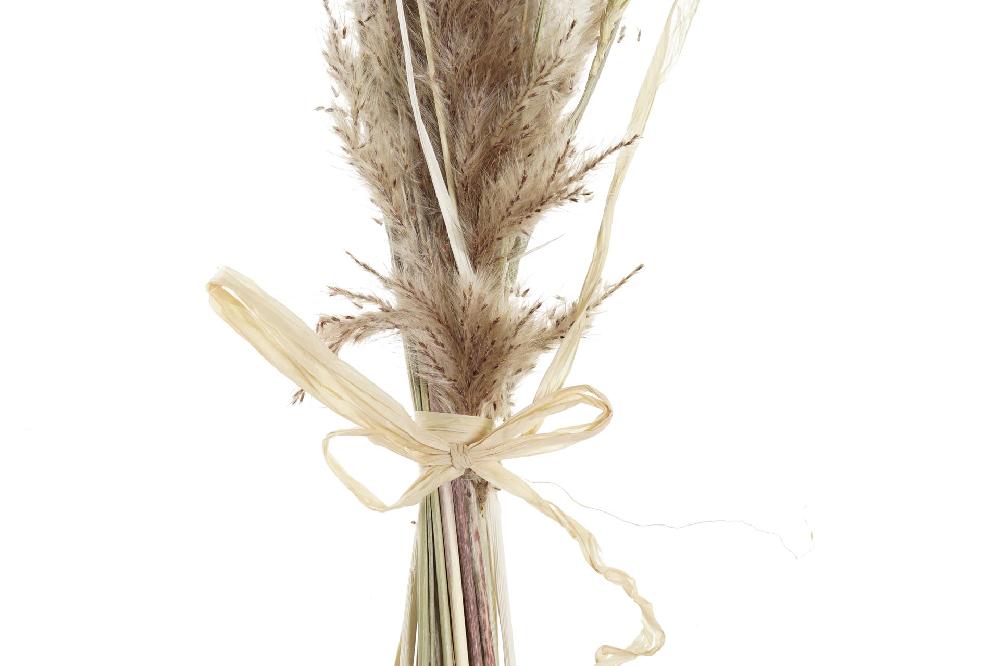 Dekodonia Pack de 2 ramos flor seca 12x3x53 marron 2025