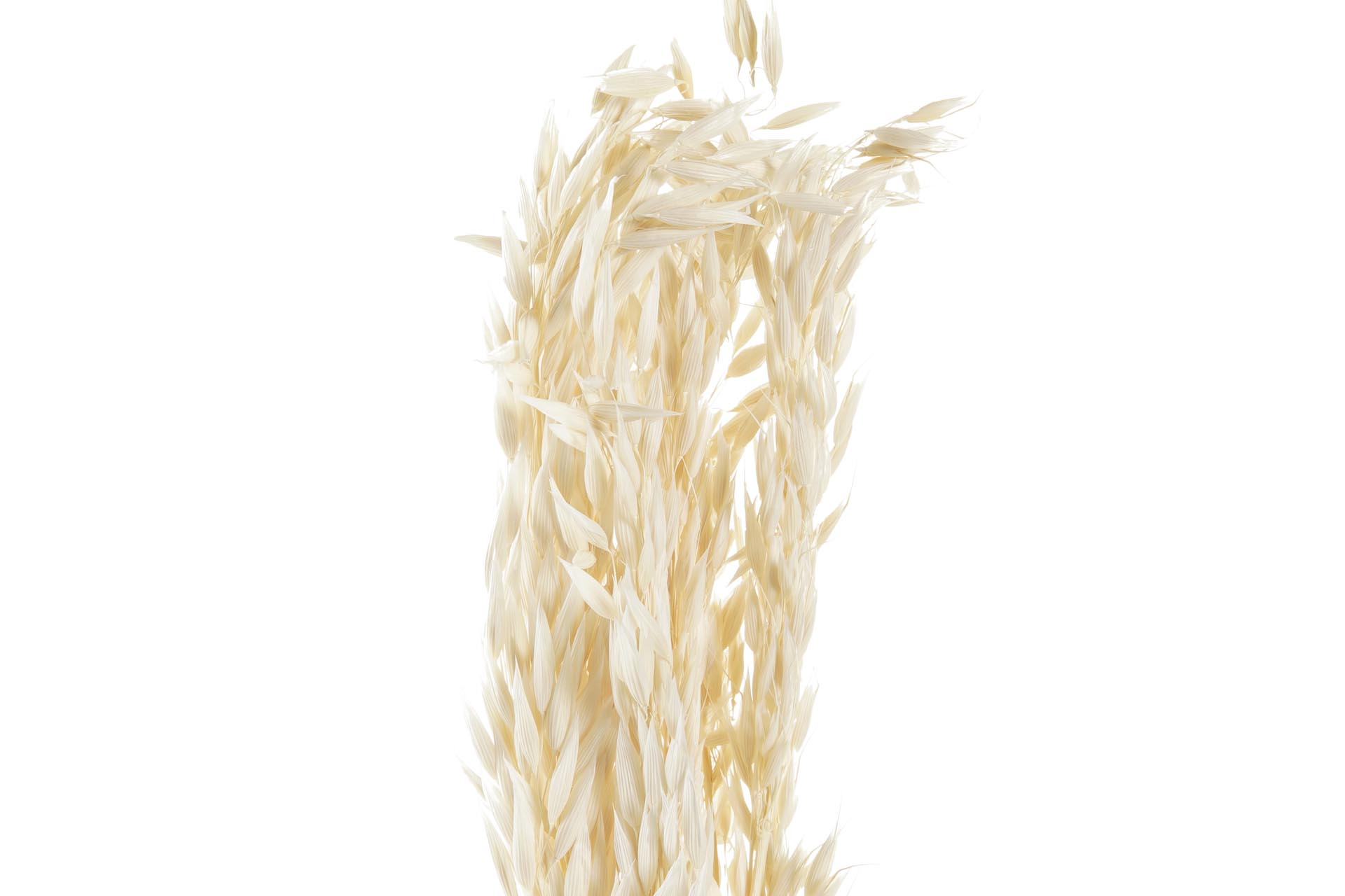 Dekodonia Pack de 3 ramos flor seca 8x3x57 avena beige Ofertas especiales