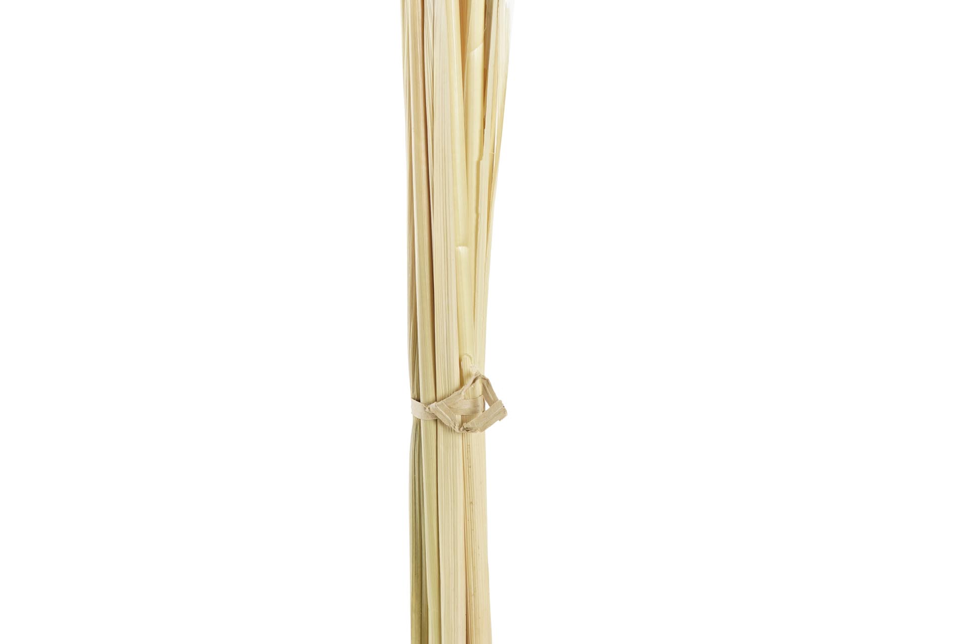 Dekodonia Pack de 3 ramos flor seca 8x3x57 avena beige Ofertas especiales