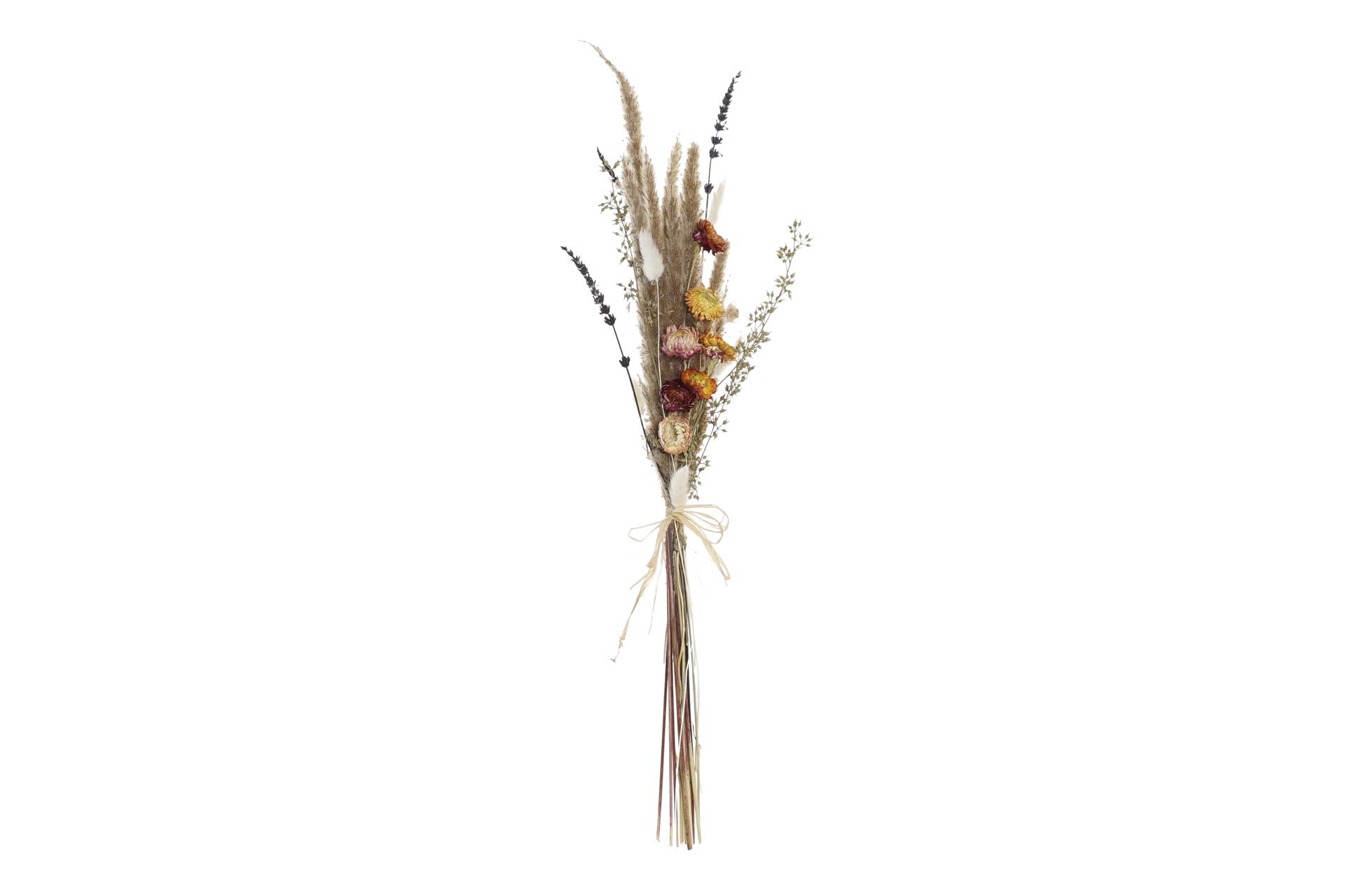 Dekodonia Pack de 2 ramos flor seca 8x3x55 marron