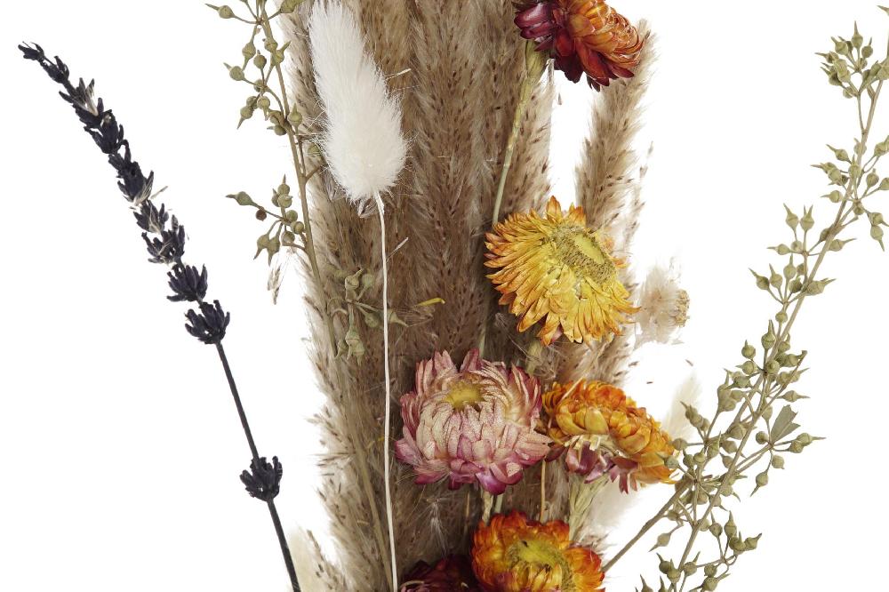Dekodonia Pack de 2 ramos flor seca 8x3x55 marron Oferta especial de fábrica