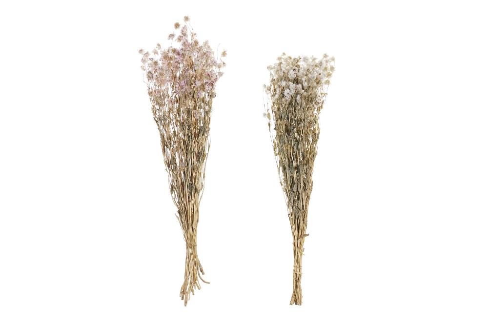 Dekodonia Ramo flor seca 16x3x60 2 surt