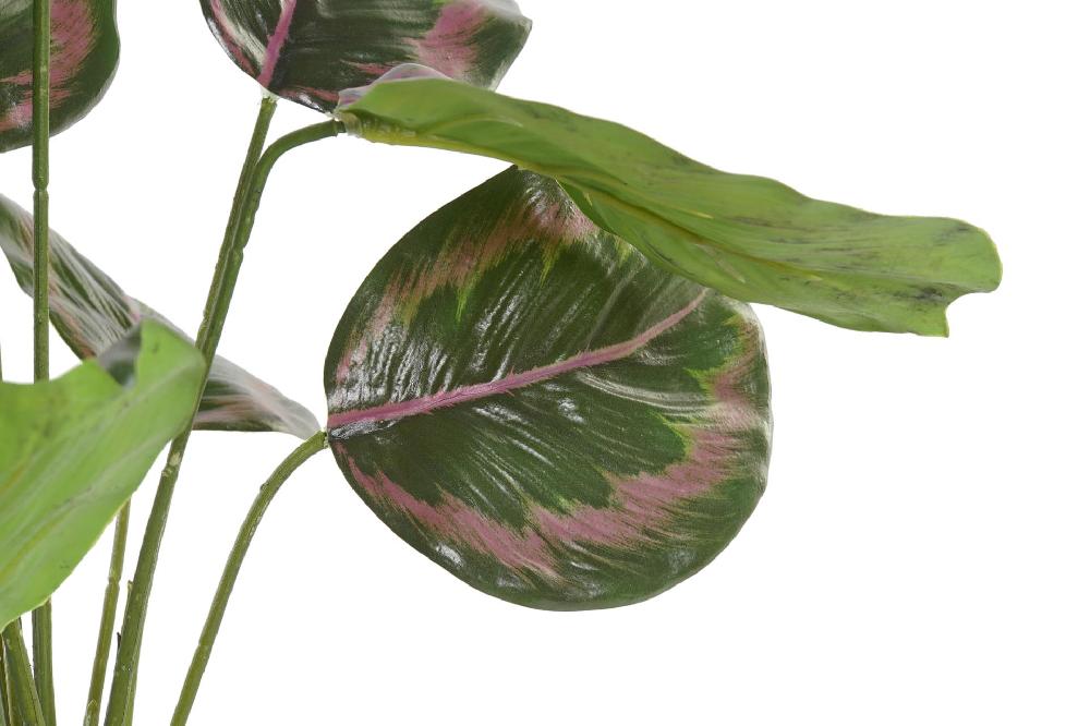 Dekodonia Planta pe 30x30x58 verde Venta caliente
