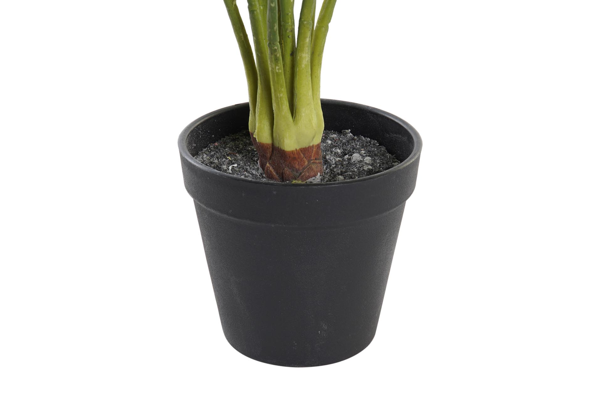 Dekodonia Planta pe 30x30x58 verde Venta caliente