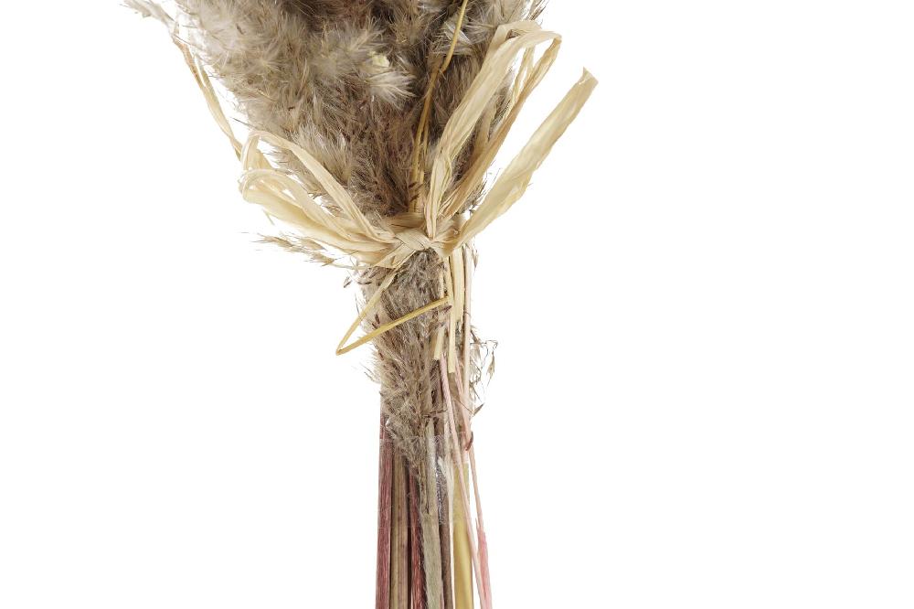 Dekodonia Pack de 2 ramos flor seca 10x7x56 marron Ventas relámpago