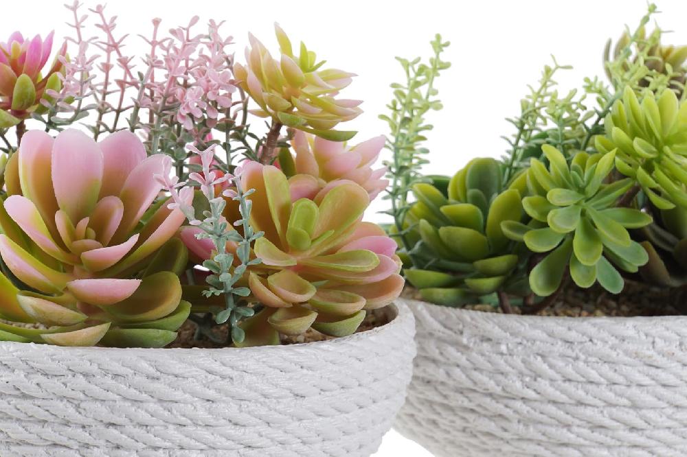 Dekodonia SET DOS PLANTAS ARTIFICIALES Superdescuento