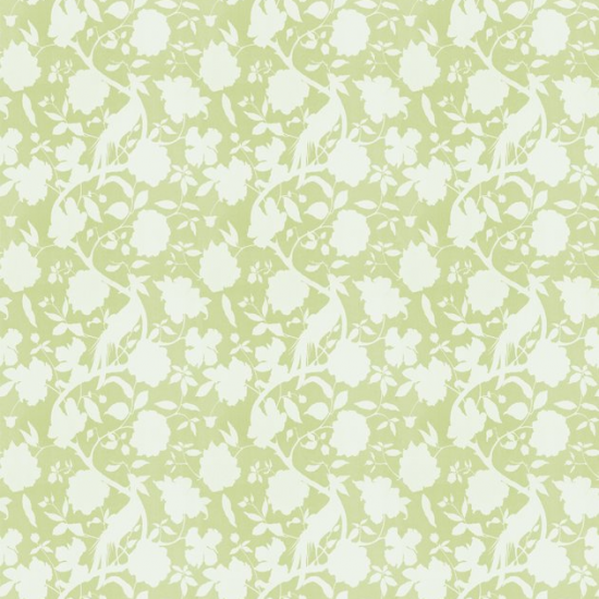 Equipo drt Senso 002 Beige Gran oferta