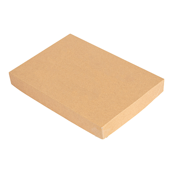 Garcia de pou TAPAS SIN VENTANA PARA CAJAS 254.72 'THEPACK' 240 G/M2 22x15x2 CM NATURAL CARTÓN ONDULADO NANO-MICRO (50 UNID.)