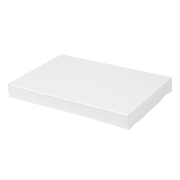 Garcia de pou TAPAS SIN VENTANA PARA CAJAS 254.71 'THEPACK' 250 G/M2 22x15x2 CM BLANCO CARTÓN ONDULADO NANO-MICRO (50 UNID.)