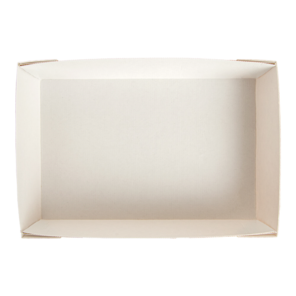 Garcia de pou CAJAS 'THEPACK' 220 + 12PP G/M2 22x15x5 CM NATURAL CARTÓN ONDULADO NANO-MICRO (200 UNID.) Solo queda un día