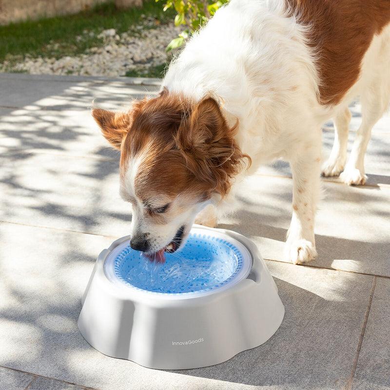 innovagoods Bebedero Refrescante para Mascotas Freshty InnovaGoods Venta caliente