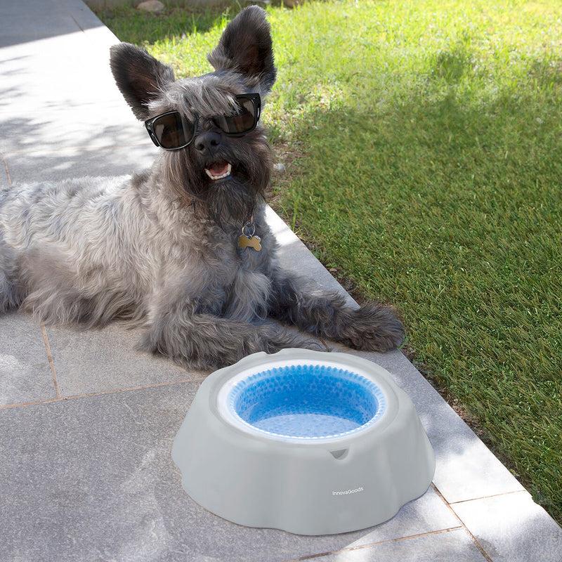 innovagoods Bebedero Refrescante para Mascotas Freshty InnovaGoods Venta caliente
