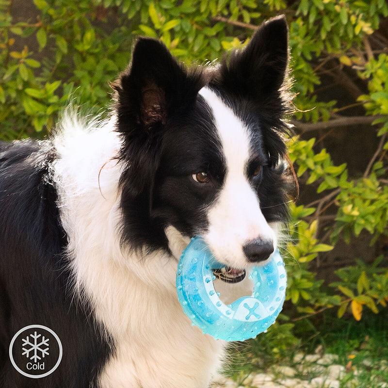 innovagoods Juguete Mordedor Congelable para Mascotas 2 en 1 Glubiz InnovaGoods