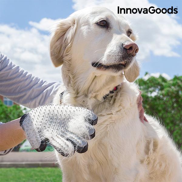 innovagoods Guante para Cepillar y Masajear Mascotas InnovaGoods Última moda