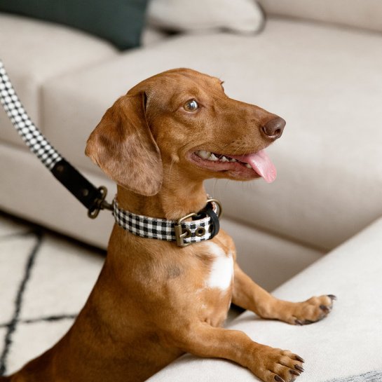 kenay home Collar S Precio ultrabajo