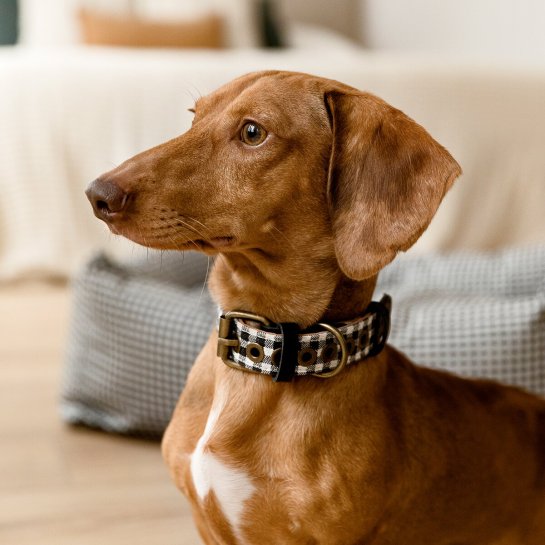 kenay home Collar S Precio ultrabajo