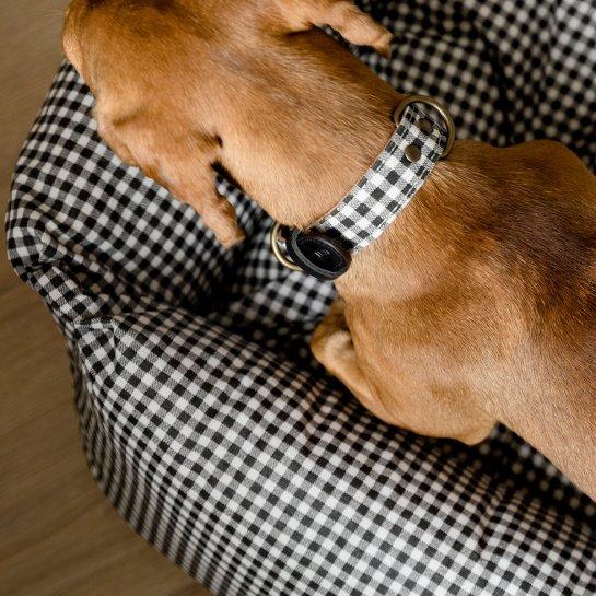 kenay home Collar S Precio ultrabajo