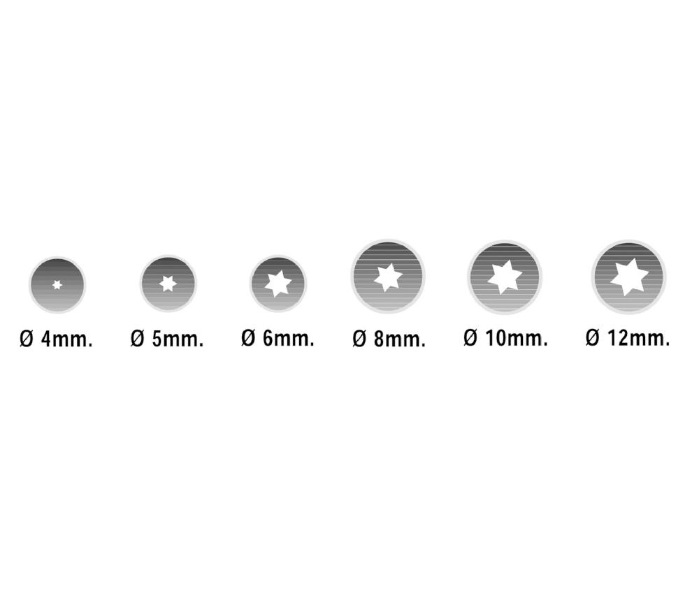 lacor Set de 6 boquillas estrella Mix