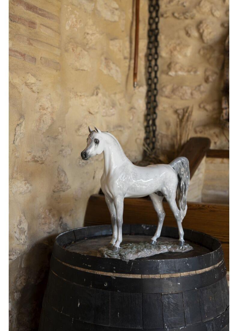 lladro Figura caballo Pura raza árabe. Serie limitada Promoción trimestral