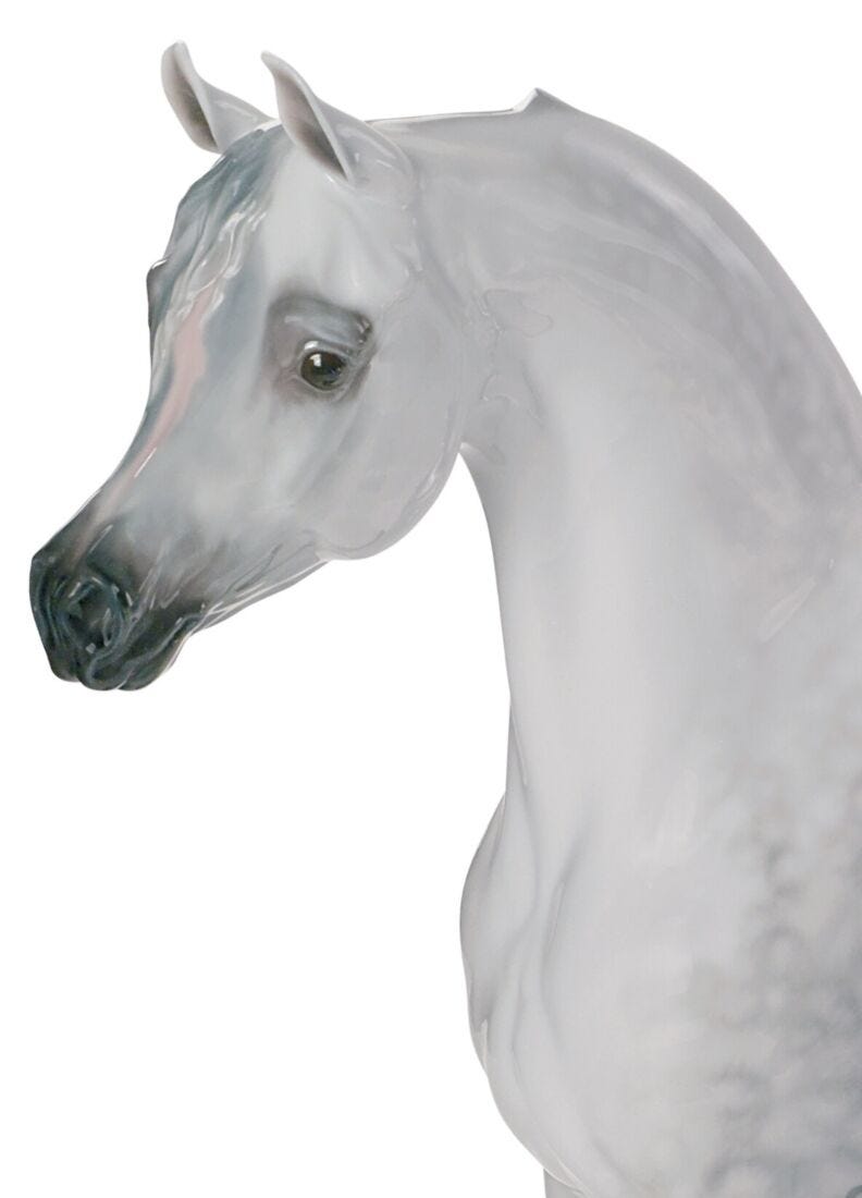lladro Figura caballo Pura raza árabe. Serie limitada Promoción trimestral