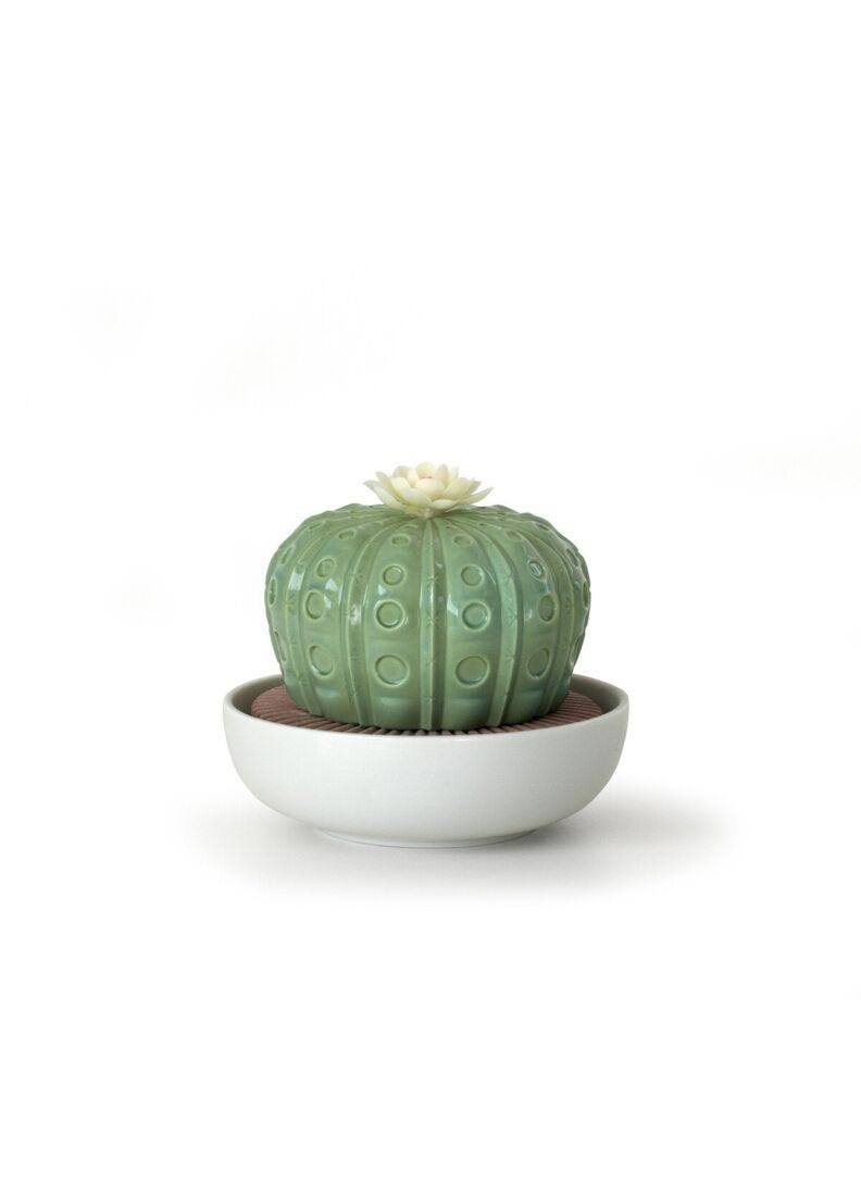 lladro Difusor Cactus Astrophytum. Aroma Jardines de Valencia En oferta
