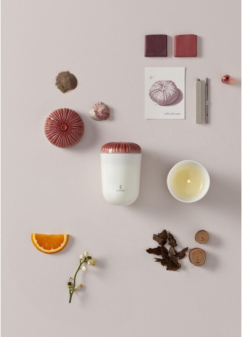 lladro Vela Echoes of Nature. Aroma Playa Mediterránea Superdescuento