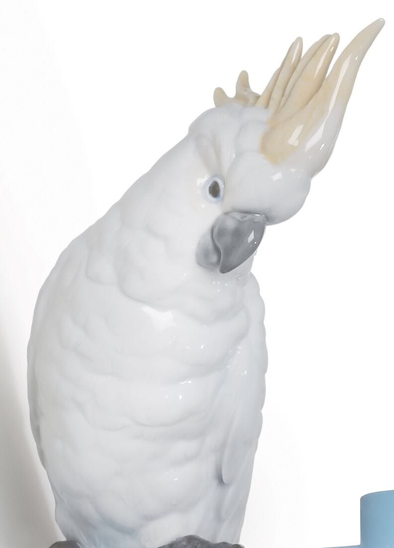 lladro Colgador pared Parrot Hang I Ofertas especiales