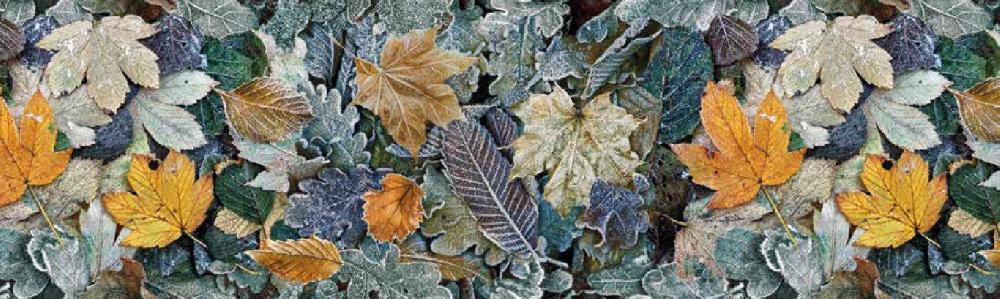 sualsa Alfombra Pasillo cocina antideslizante FOLIAGE-249