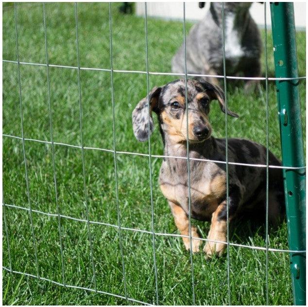 Malla electrosoldada para cercados de animales galvanizada 76x63mm malla rollo 25mt. DAKOTA LIGHT - ALTURA 99cm Descuento por venta flash