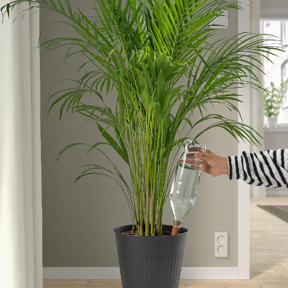 IKEA SVÄMSKOG Accesorio de riego automático terracota/transparente 70 cl 2025