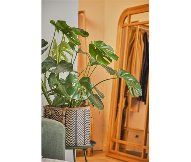 Conforama Espejo de pared Conforama MARGARETH Envío internacional gratuito