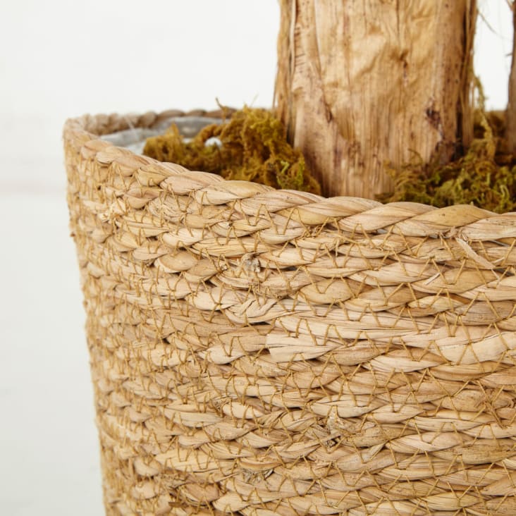 Maisons du Monde CILAOS - Banano artificial con maceta Oferta exclusiva