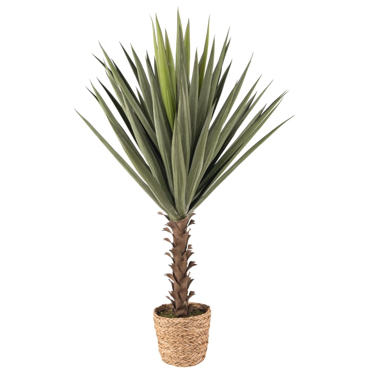 Maisons du Monde Sousse - Yuca artificial verde y marrón de 118 cm Última moda