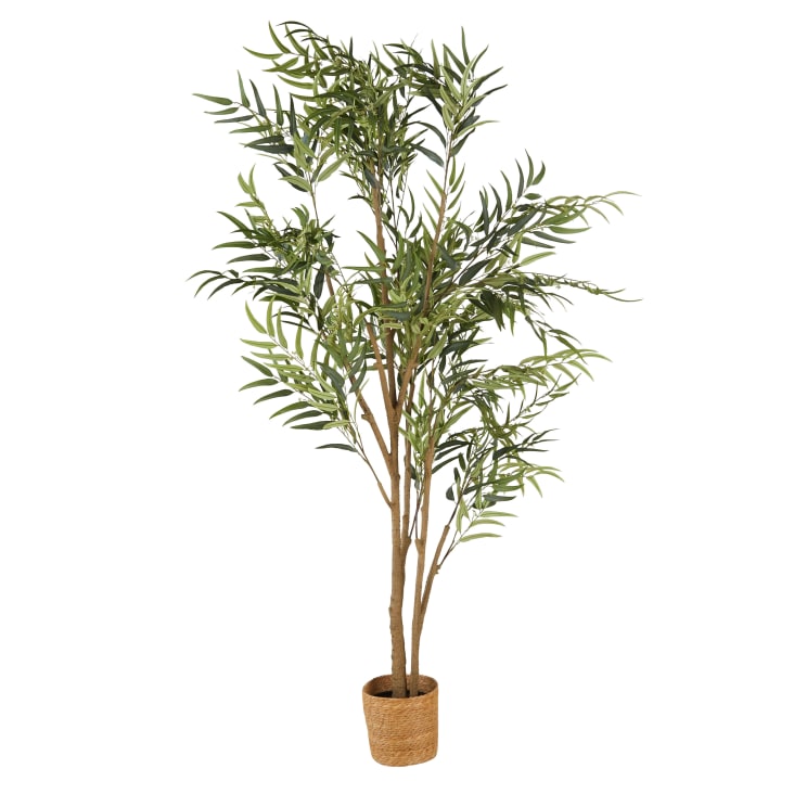 Maisons du Monde Canberra - Eucalipto artificial verde de 240 cm 2025